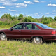 Image for article titled When Cars Were Whales